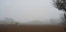 Potato planting in winter mists