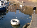 Harbour reflections